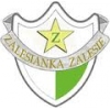 Zalesianka Zalesie