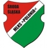 Polonia Środa Śląska (k)